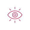Vision